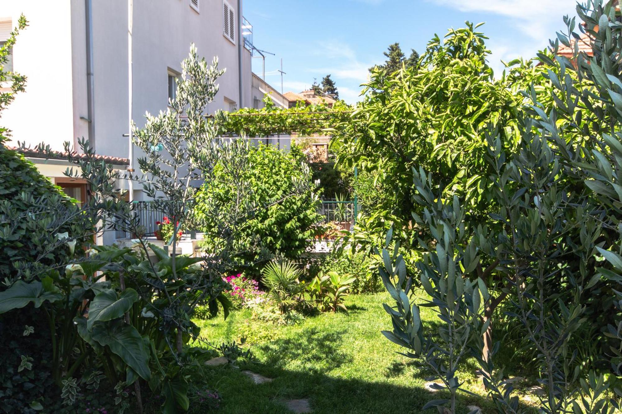 Marjan Hill 3-Br Apt,5 Guests Private Garden Near Beach Split Zewnętrze zdjęcie